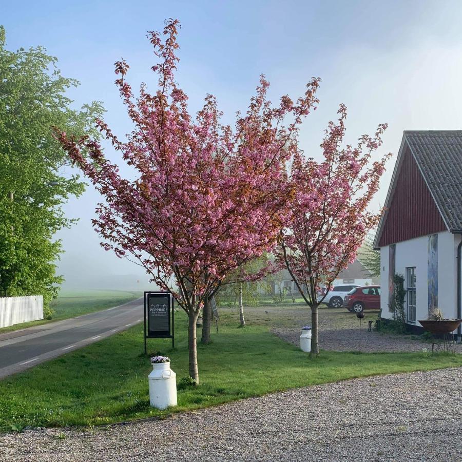 Peppinge Bed & Breakfast Löderup Exterior foto